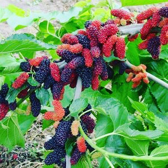 Pin on аышиваю